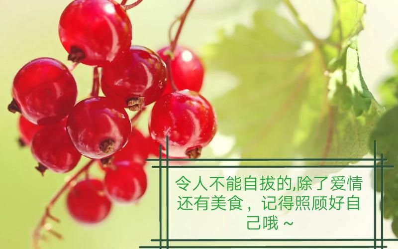 QQ随心贴句子怎么设置？个性文案让你的状态与众不同！