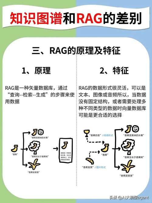 rascal和scoundrel有啥区别？一文搞懂别再混淆！