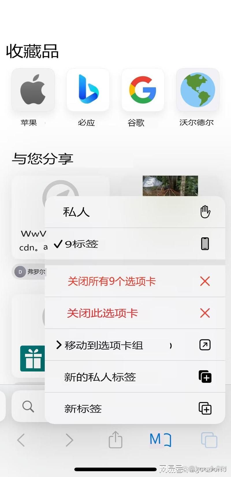 safari下载速度慢怎么办？这几个技巧让速度飞起！