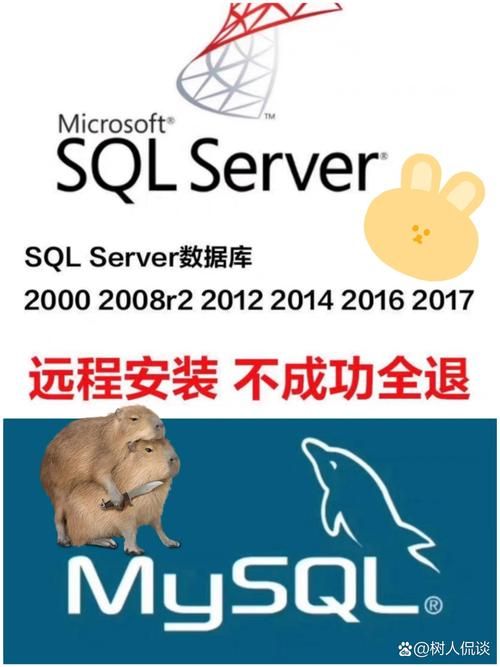 sql2000下载哪个版本好？老司机告诉你答案！