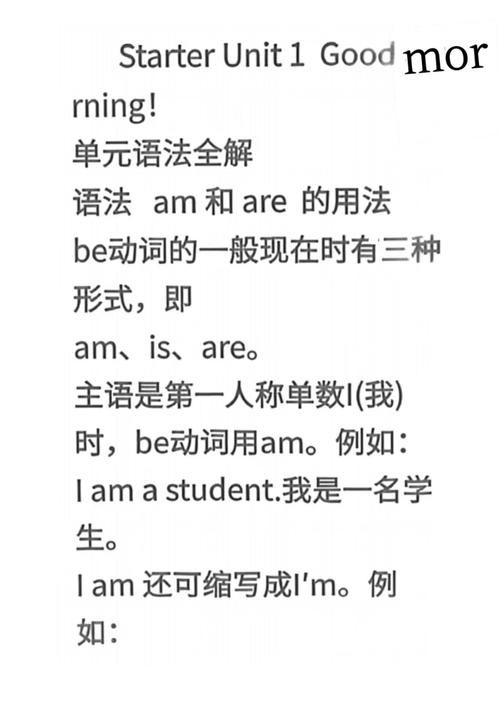 starter是什么意思？新手入门必备的基础知识！