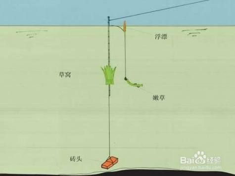 tbc钓鱼1-375攻略：实用技巧助你快速满级！
