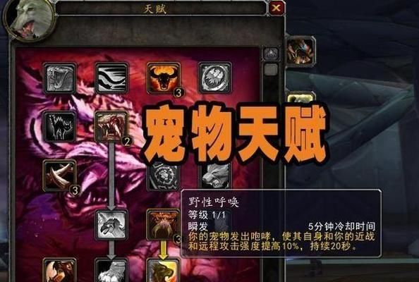 wow正式服猎人宝宝怎么选？五只强力宠物推荐！