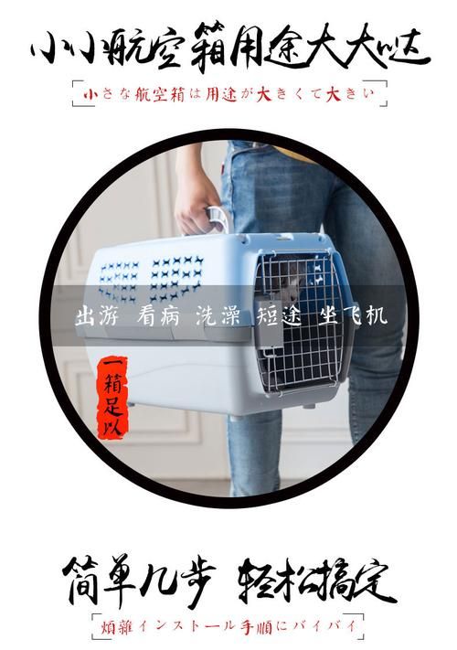 XX使用方法大公开！简单几步教你快速上手！
