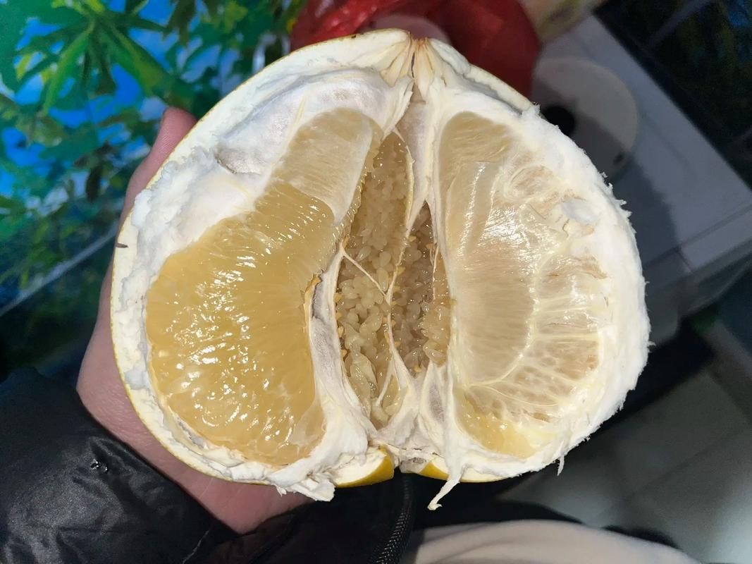 yzlm0柚子联盟靠谱吗？为你揭秘真实情况！