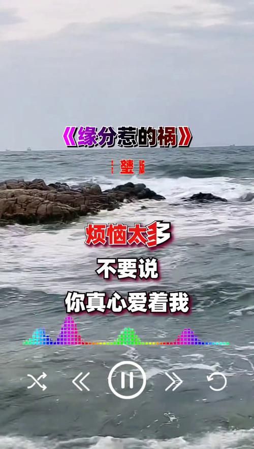 一定是特别的缘分！听完这首歌的人都哭了！