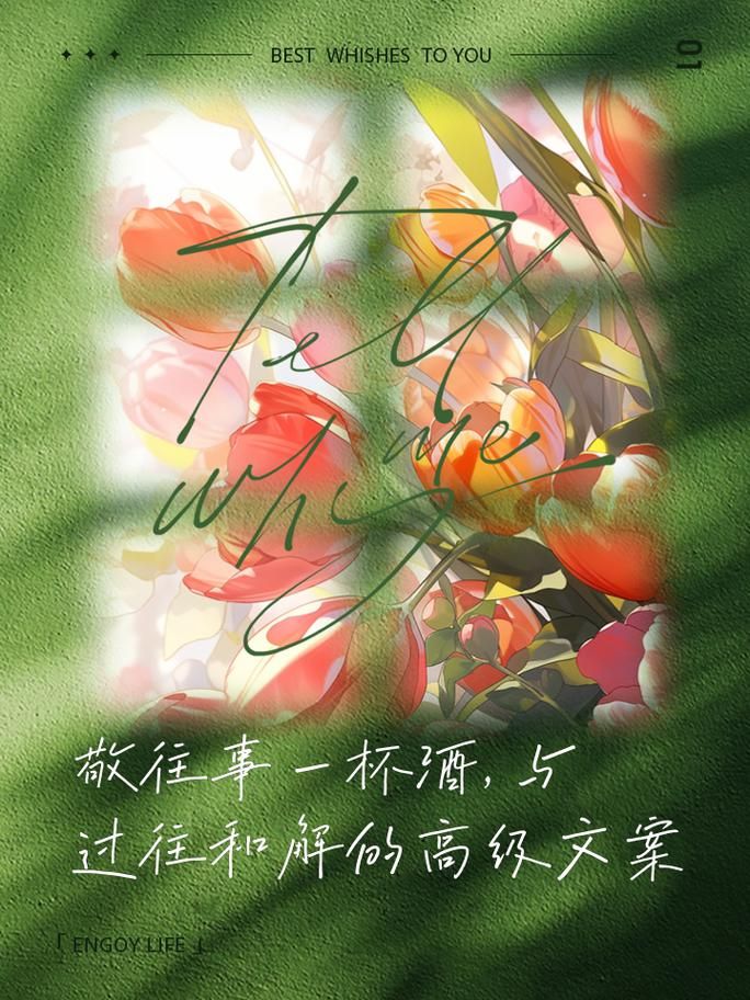 一杯敬明天一杯敬过往这首歌，唱出了人生的无奈与释然。