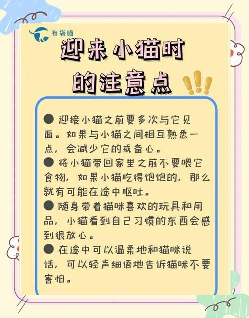 一秒钟变萌的秘诀是什么？这几招让你瞬间变可爱！
