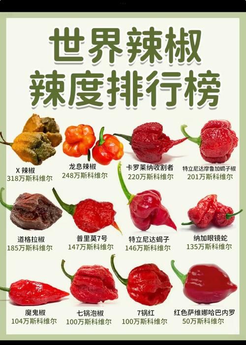 世界上有五种辣你知道吗?快来看看你吃过几种! 世界上有五种辣你知道吗?快来看看你吃过几种!