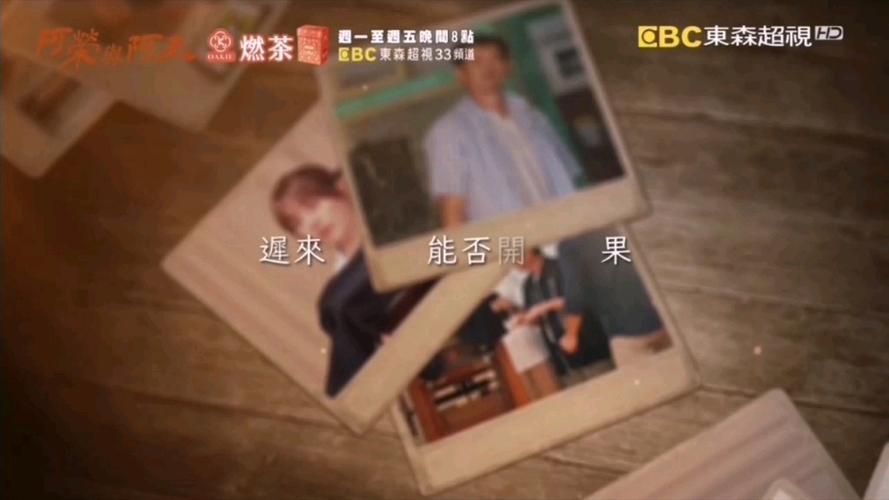 东森新闻云有哪些特色栏目？看完这篇你就懂了！