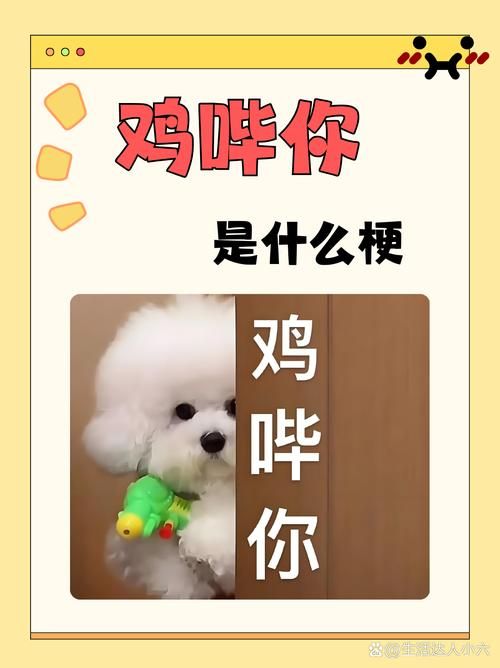 两人be了是什么梗？网络流行语be你听懂了吗？