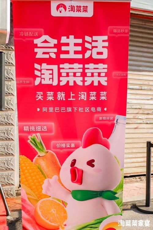 个人怎么申请入驻淘菜菜？详细流程一看就会！