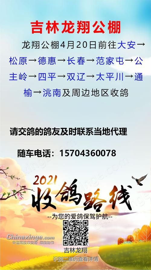 中国信鸽信息网手机版好用吗？鸽友都在用的app！