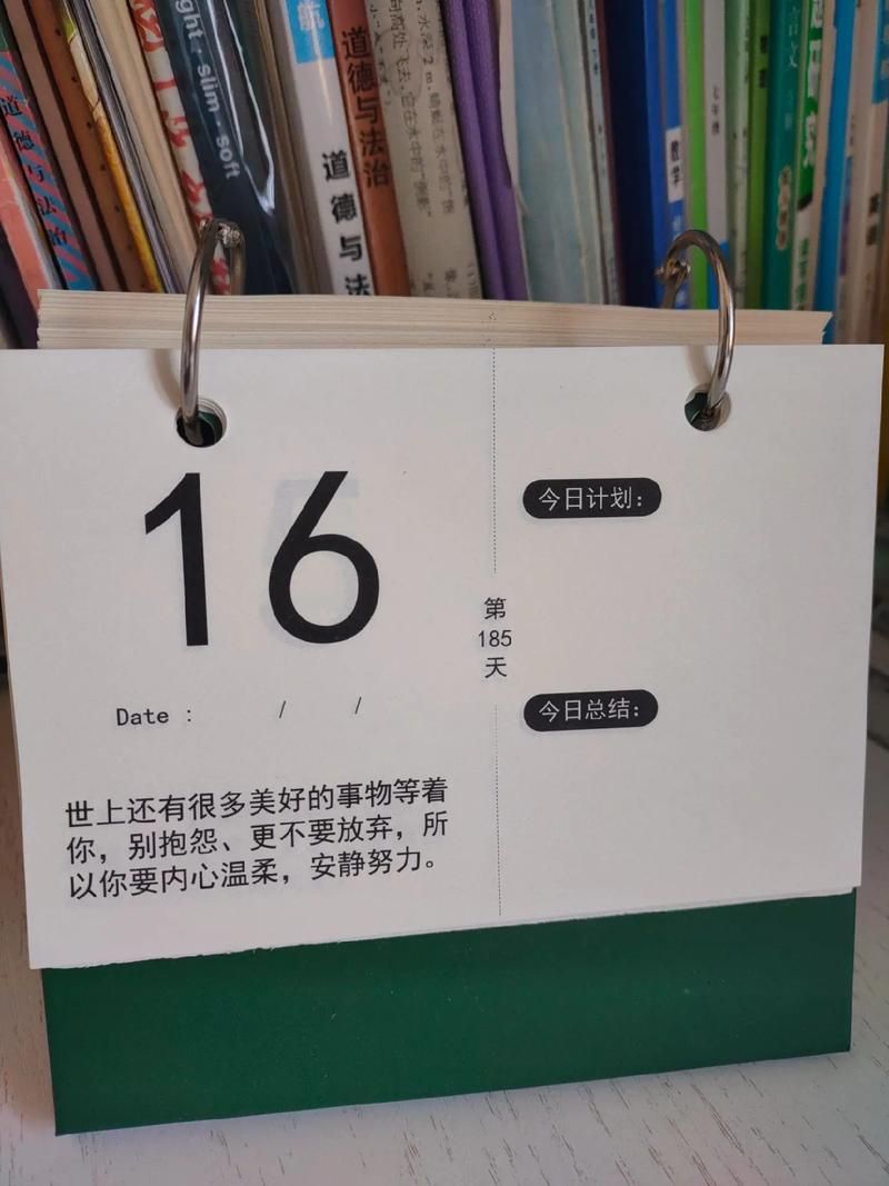 中考倒计时器在线版，帮你精准规划每一天！