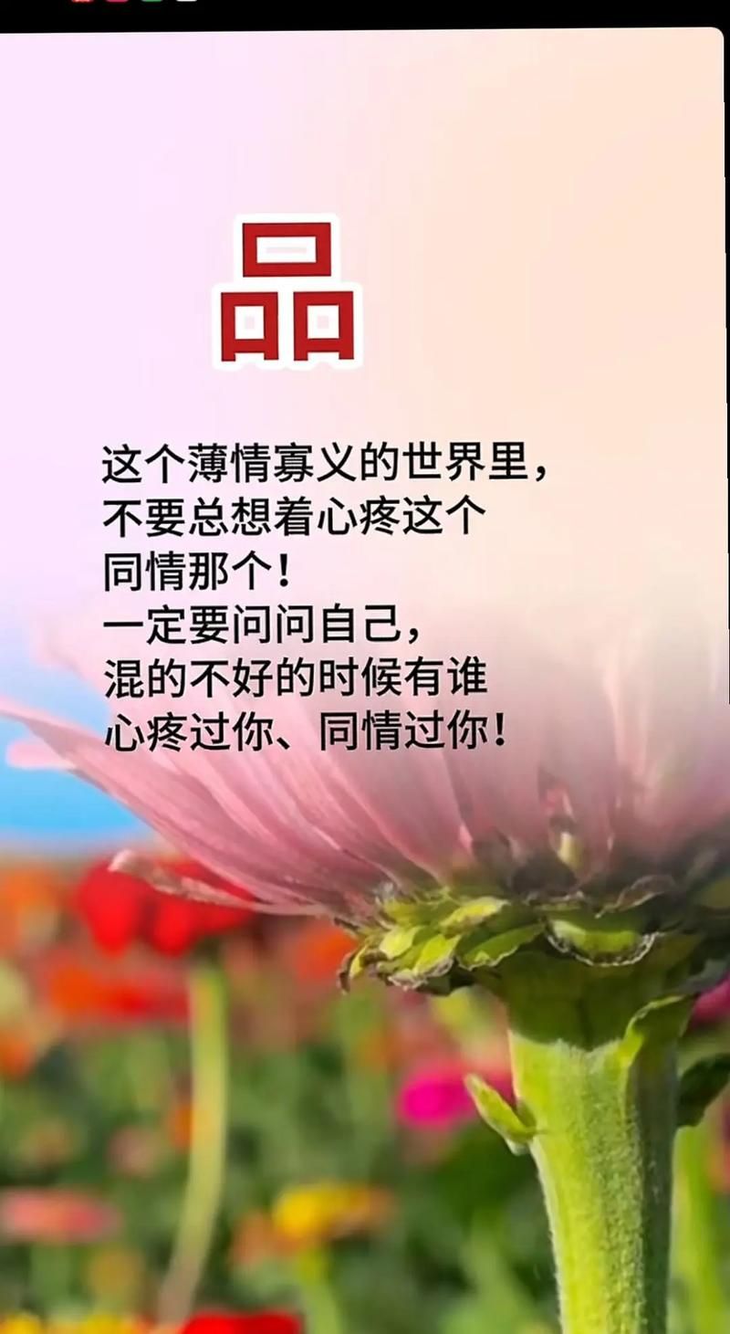 为什么大家都在说有时候有时候？这句话有啥含义？