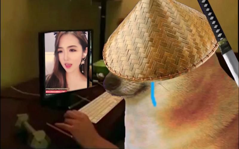 乌鸡哥是什么意思？一文读懂乌鸡哥这个网络用语！