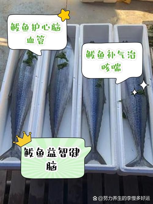 乌鸡鲅鱼是什么意思阿？看完这篇你就懂了！