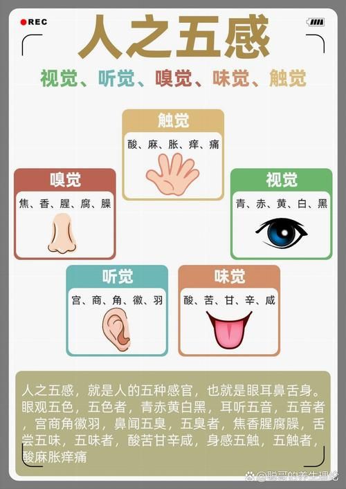 人体感官有哪几种？探索神秘的五感世界！