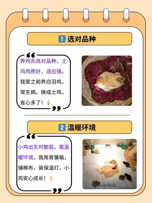 今日小鸡庄园答题的答案是什么？火速更新中！