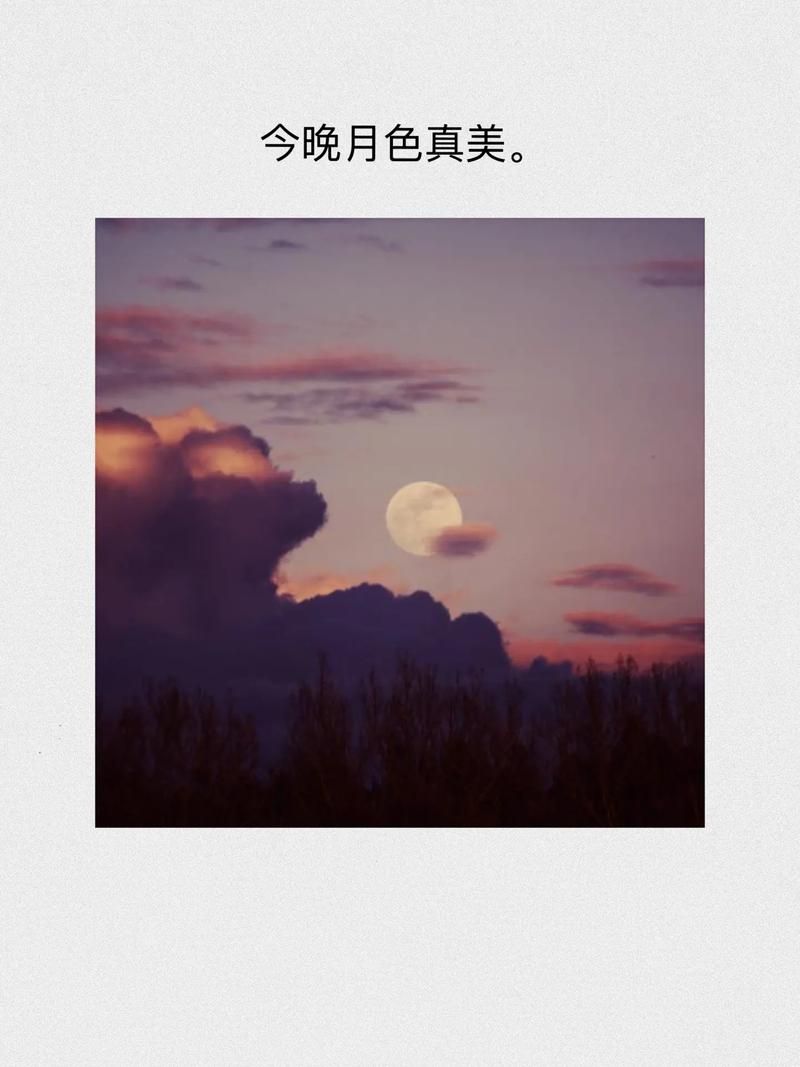 今晚月色真美日语版情话教学，这样说更浪漫！