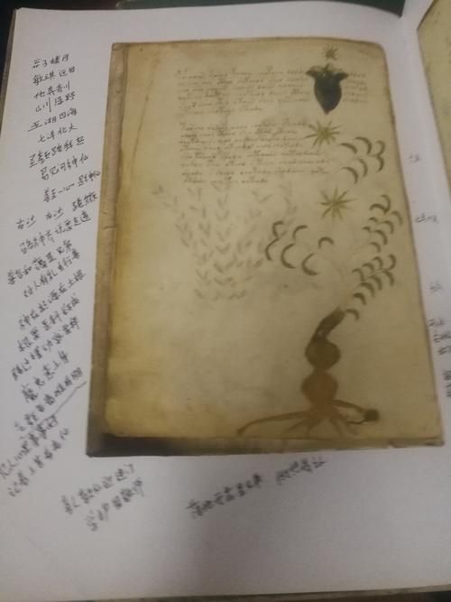 伏尼契手稿谁写的？至今还没找到作者！