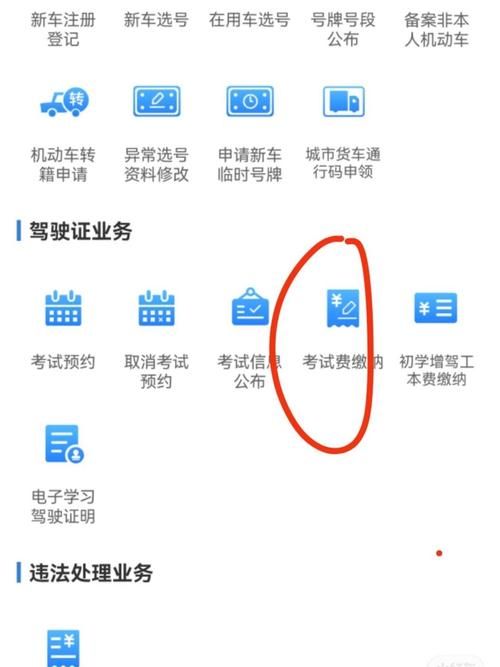 体检完多久能在12123查到？别急，看这里！
