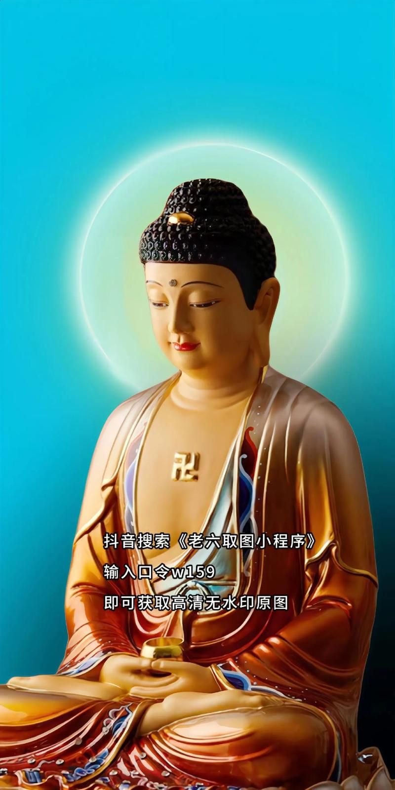 佛弟子网手机版内容丰富吗？学佛修行都在这！