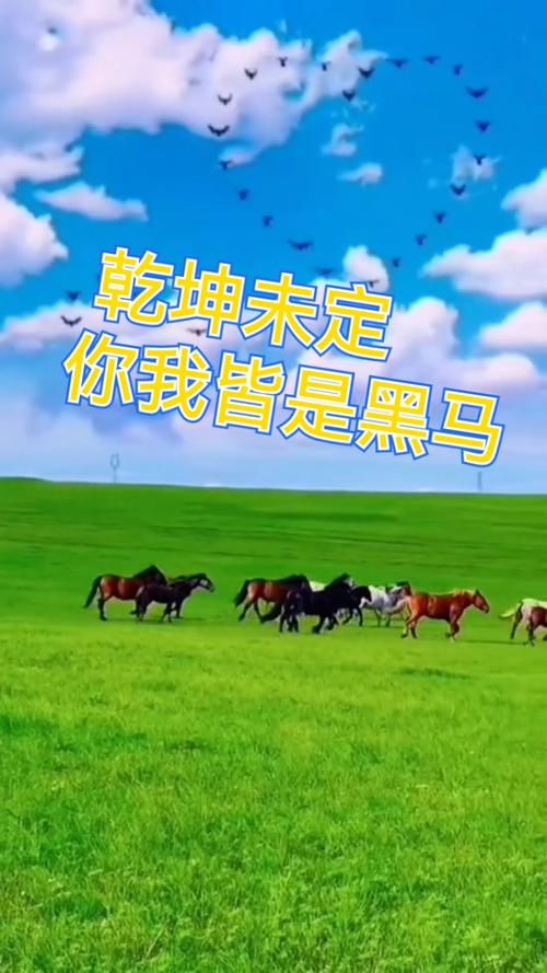 你我皆是黑马完整语句爆红网络，这句话你听过吗？