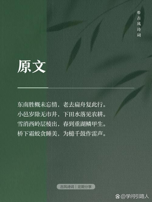 你知道篱落的意思吗？简单几句话解释篱落的由来！