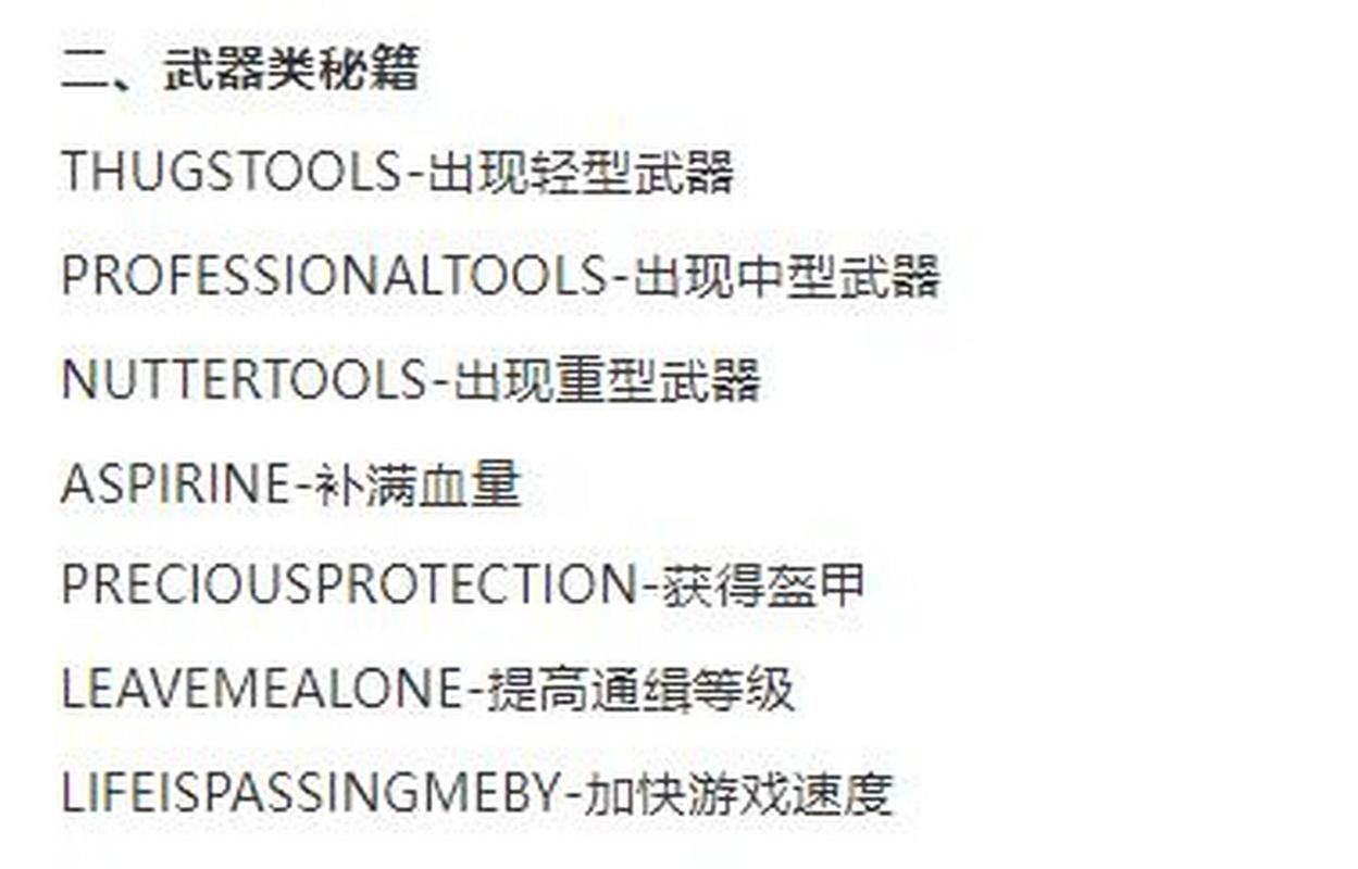 侠盗猎车手5无敌代码怎么输？看完这篇就会了！