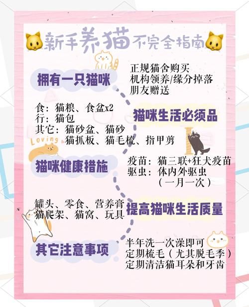 修猫是什么意思？铲屎官必知：猫咪修理毛发小知识！