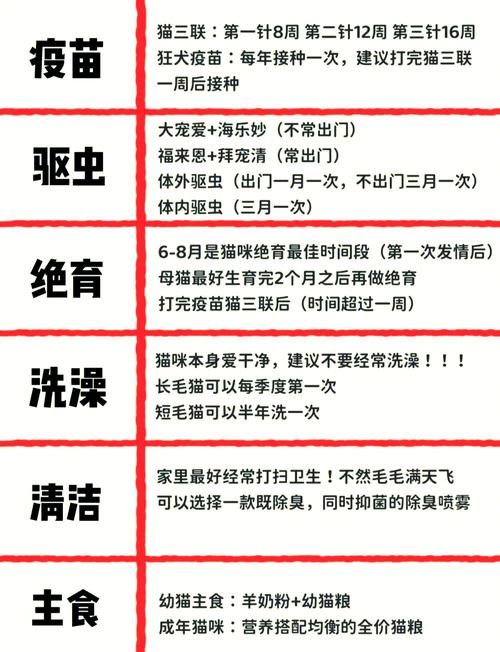 修猫是什么意思？铲屎官必知：猫咪修理毛发小知识！