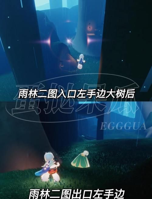 光遇雨林怎么点亮？详细步骤图文教程！