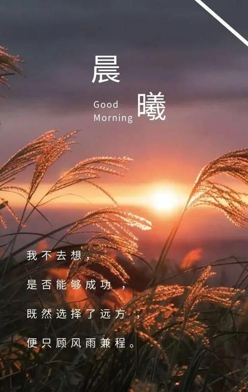 免费正能量网站下载攻略，让你的生活充满阳光！