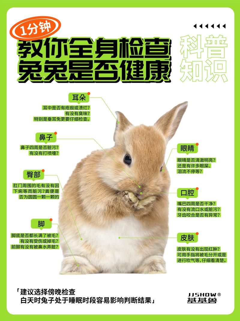 兔区是什么意思？一篇文章带你了解兔区的前世今生！