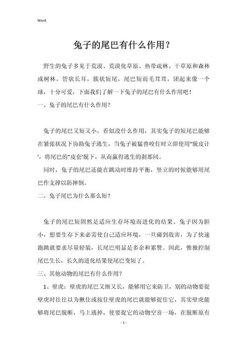 兔子尾巴有什么用？这几个作用很有趣！