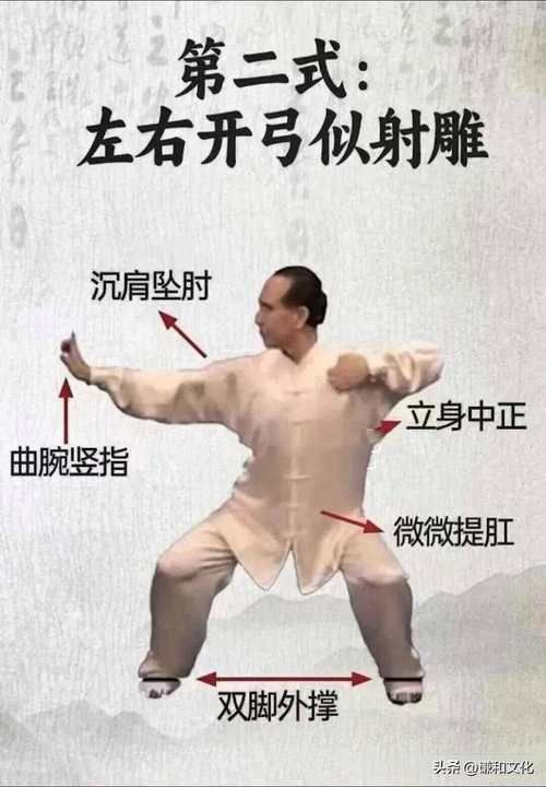 八段锦免费下载，随时随地练起来，强身健体！