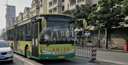 六安公交手机app在哪下载？官方渠道安全又便捷！