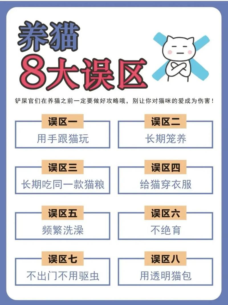 养了个猫联机版怎么玩？新手快速上手攻略来啦！
