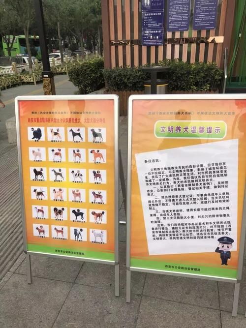 养狗证网上怎么办理？详细步骤一看就会！