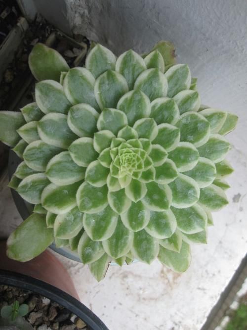 冰火两重天项目多少钱？价格对比看这篇！
