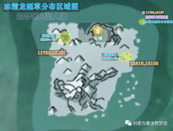 冰龙草在创造与魔法哪个位置？看这篇就够了！