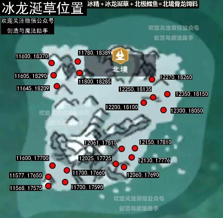 冰龙草在创造与魔法哪个位置？看这篇就够了！