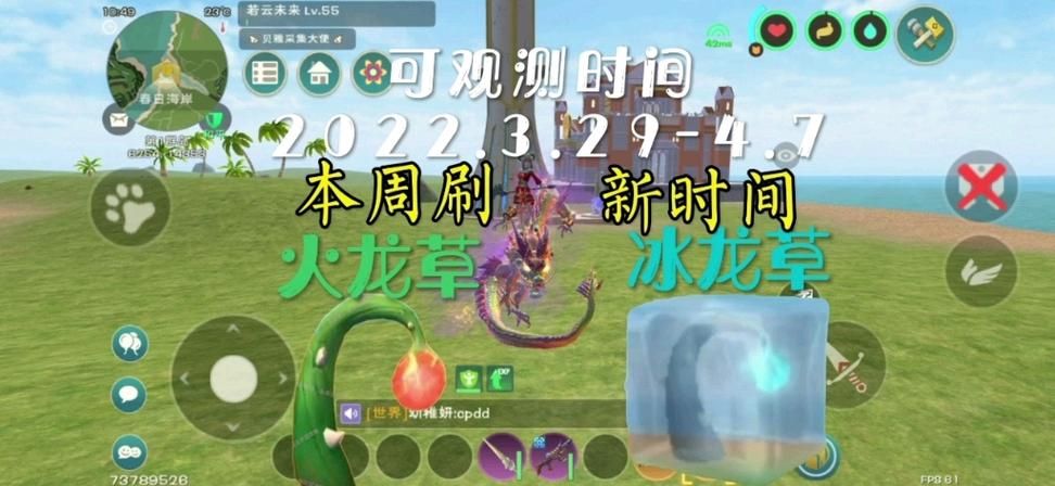 冰龙草在创造与魔法哪个位置？看这篇就够了！