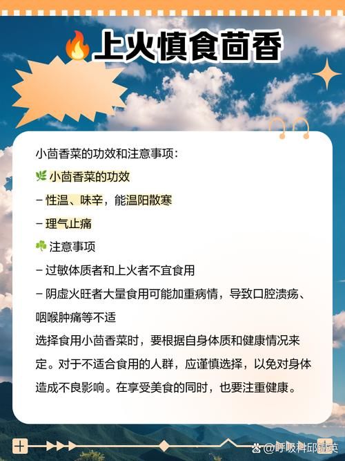 减肥能吃生菜茴香吗？含盐量你需要注意！