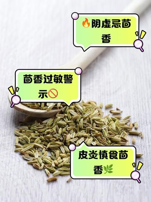 减肥能吃生菜茴香吗？含盐量你需要注意！