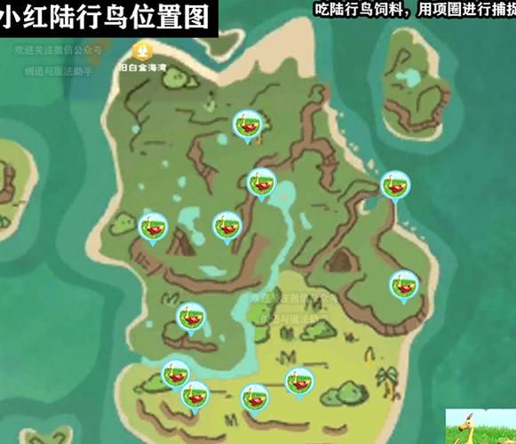 创造与魔法鹦鸟在哪？必刷点位置图解来了！