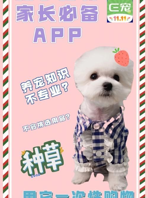 加油广东app怎么用？新手一看就会的操作指南！