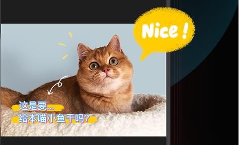 动物发音器下载：这款App超火，好多人在用！