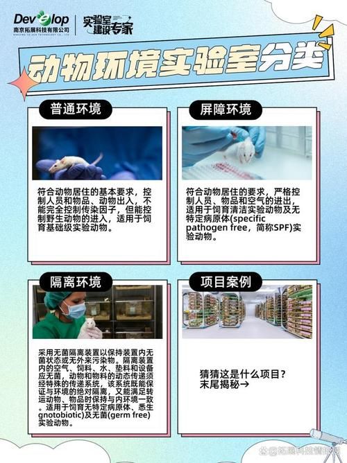 动物实验室建设标准是什么？看完这篇就懂了！